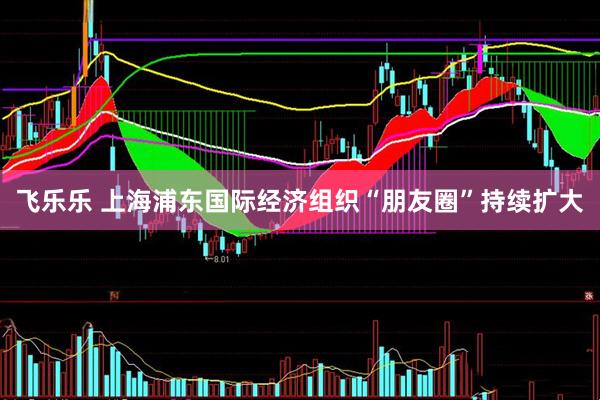 飞乐乐 上海浦东国际经济组织“朋友圈”持续扩大