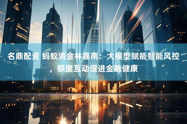 名鼎配资 蚂蚁消金林嘉南：大模型赋能智能风控，额度互动促进金融健康