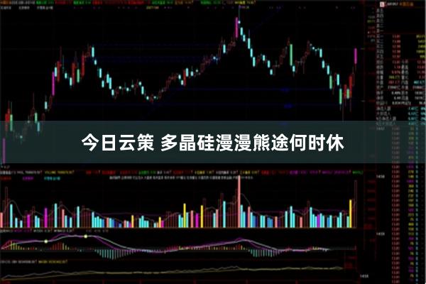 今日云策 多晶硅漫漫熊途何时休