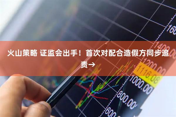 火山策略 证监会出手！首次对配合造假方同步追责→