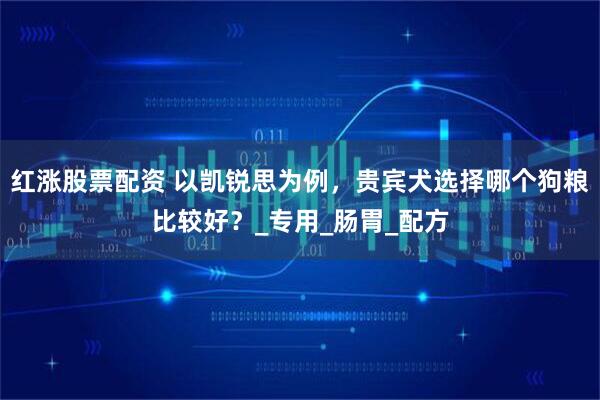 红涨股票配资 以凯锐思为例，贵宾犬选择哪个狗粮比较好？_专用_肠胃_配方
