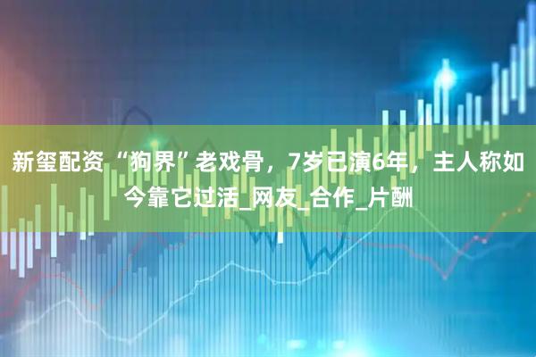 新玺配资 “狗界”老戏骨，7岁已演6年，主人称如今靠它过活_网友_合作_片酬