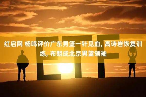 红启网 杨鸣评价广东男篮一针见血, 高诗岩恢复训练, 布朗成北京男篮领袖